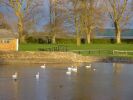 Coate Water